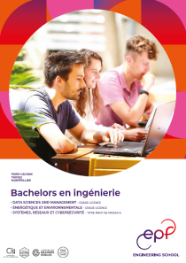 Vignette bachelors 2526